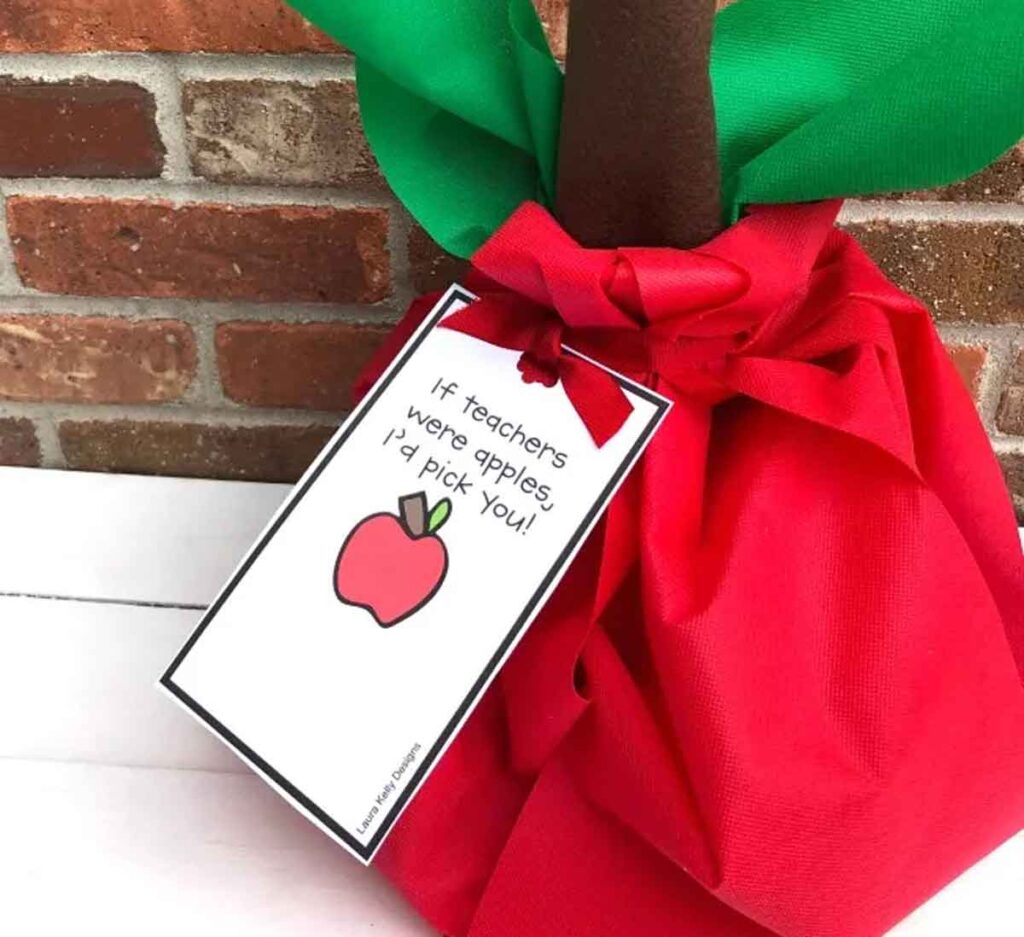 giant apple gift bag with tag