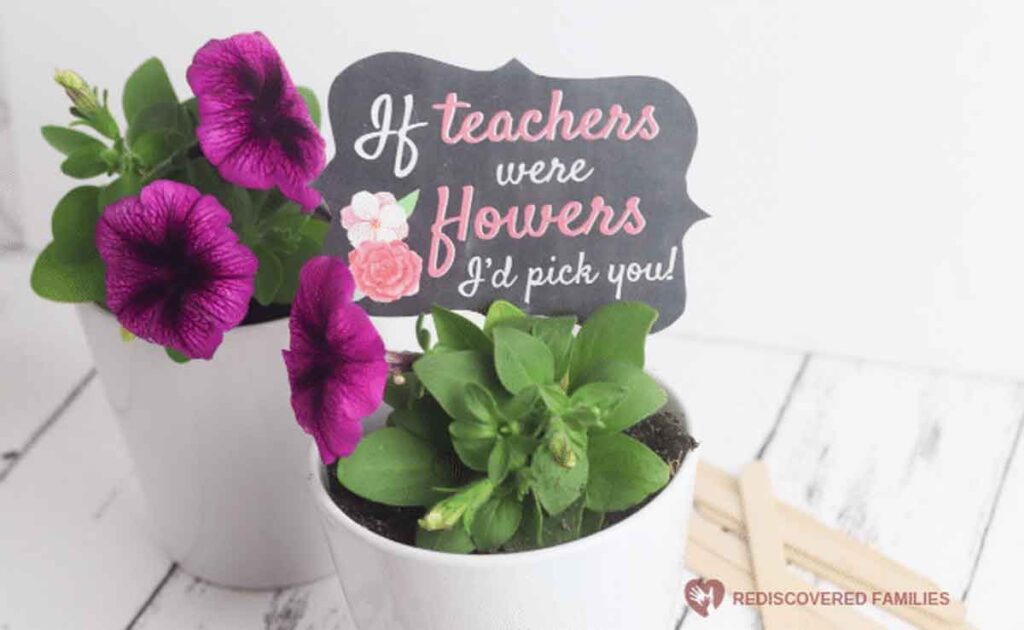 If teachers were flowers I'd pick you tag with plant