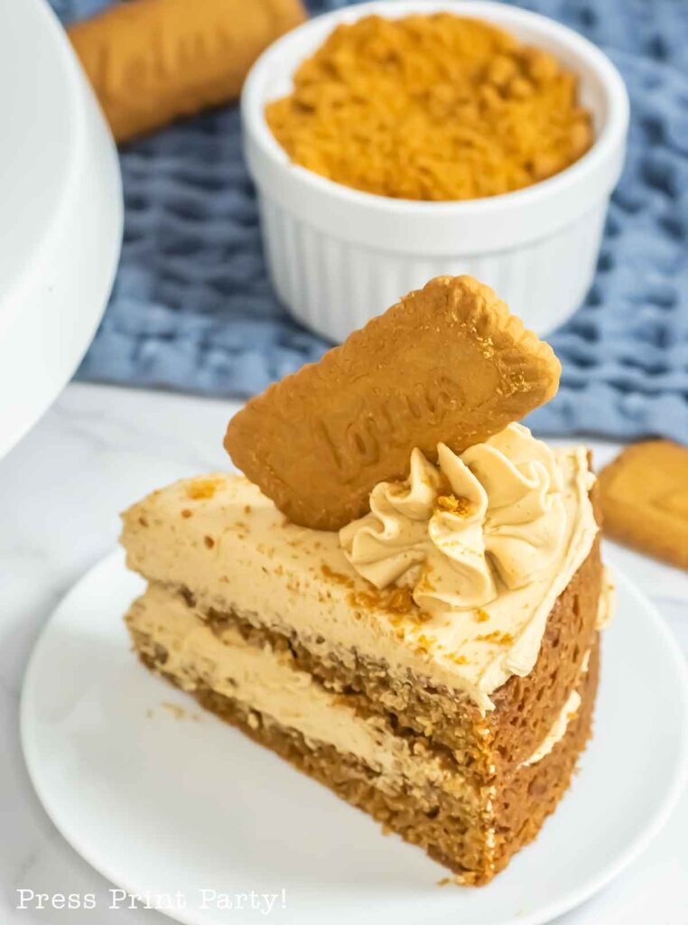 cake slice on plate with biscoff cookie on top