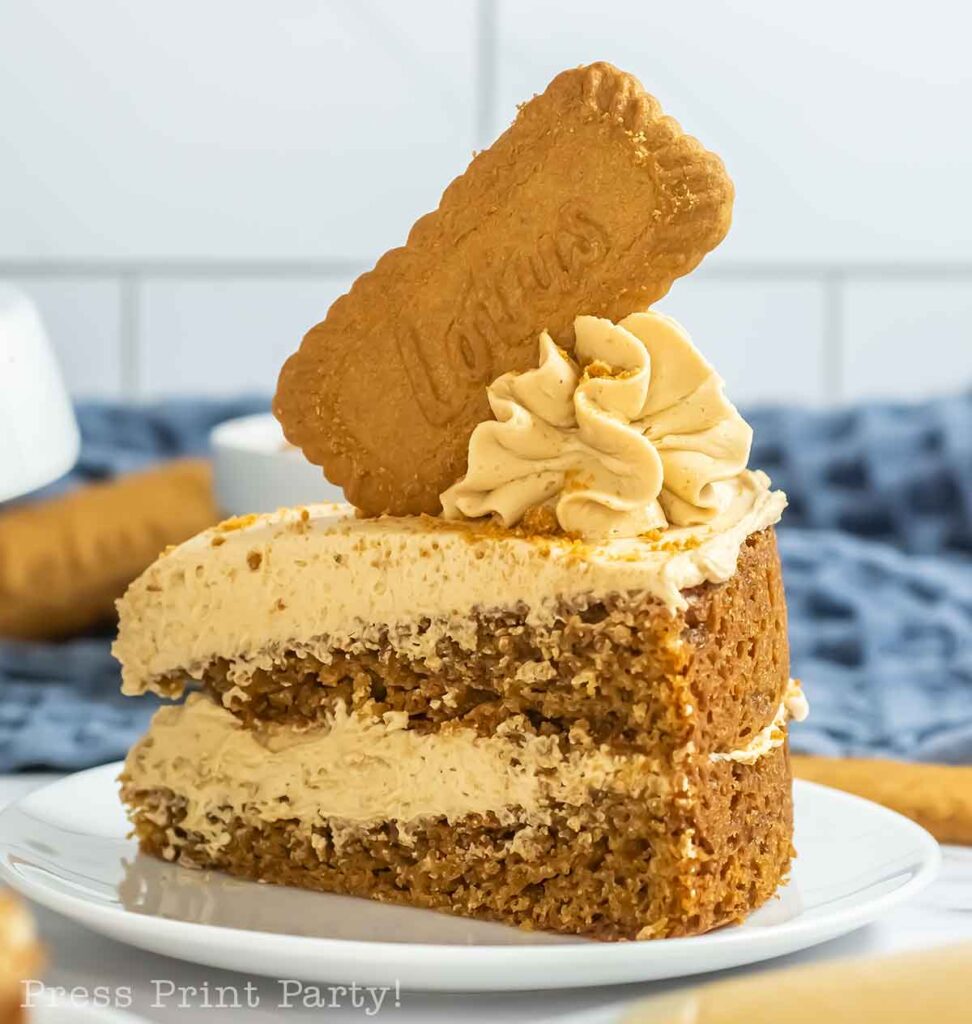 cake slice on plate with biscoff cookie on top
