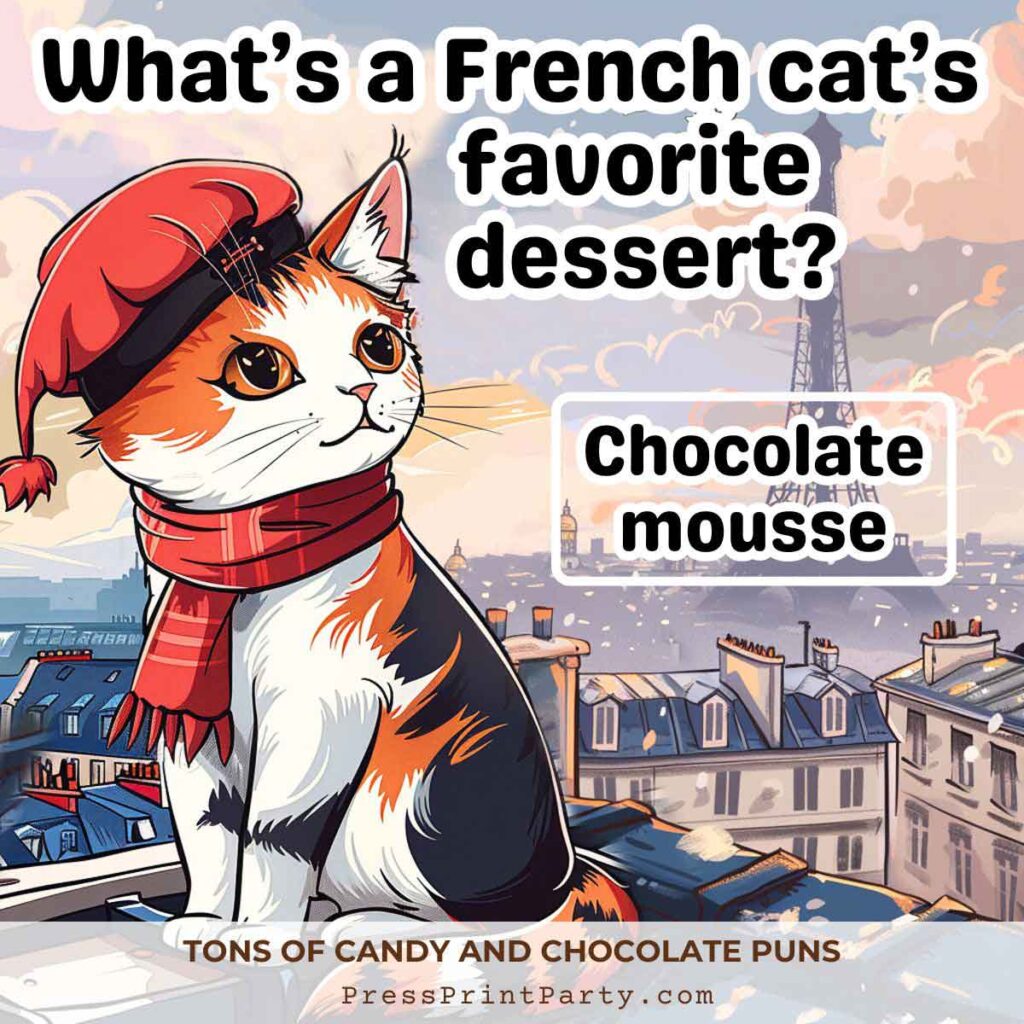 what's a french cat's favorite dessert? Chocolate mousse