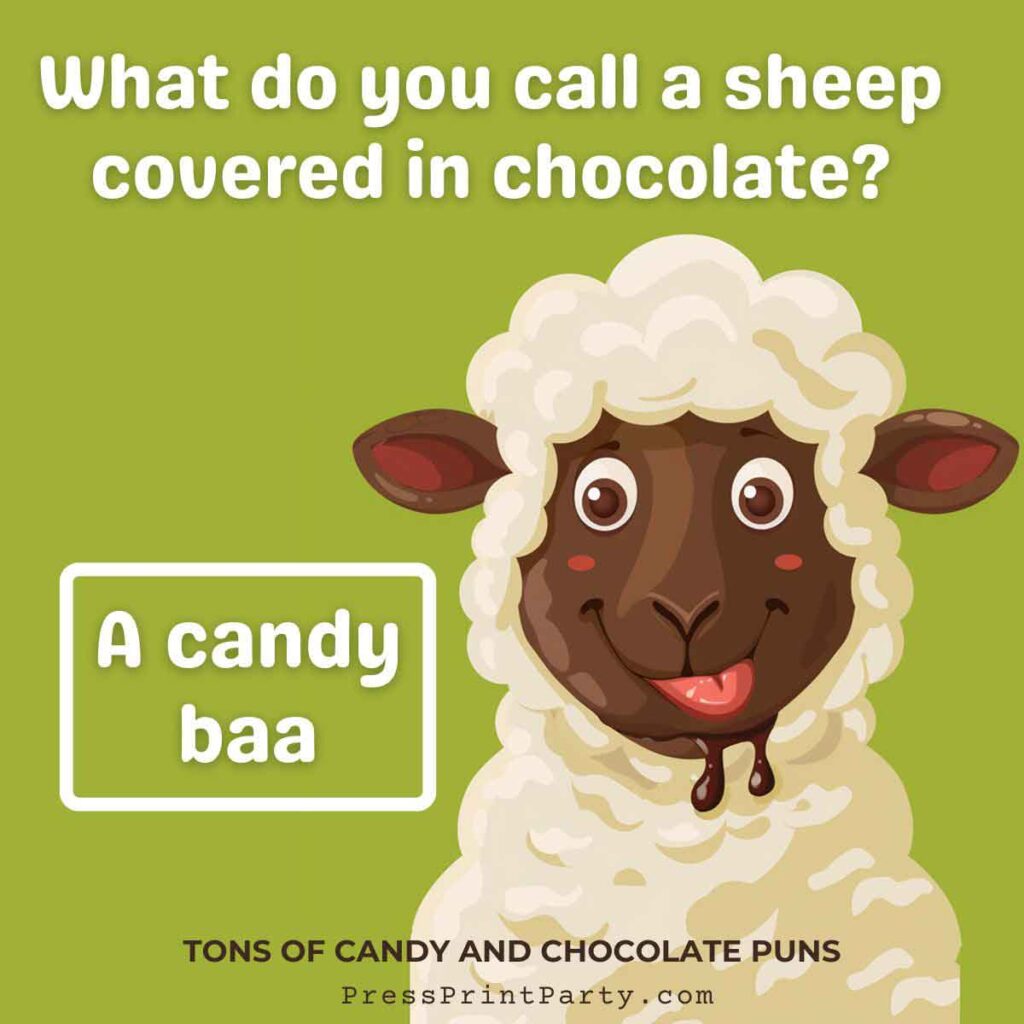 What do you call a sheep covered in Chocolate. A candy Baa. chocolate puns.