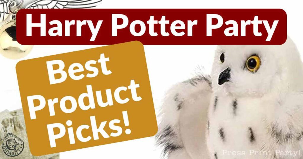 Harry Potter Party Product Picks
