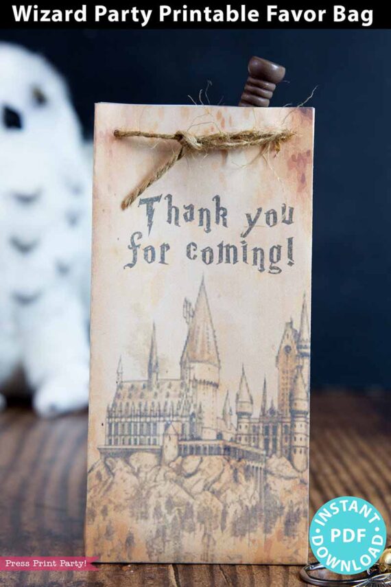 thank you for coming wizard party treat bag