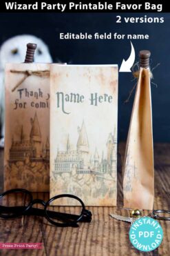 printable harry potter favor bag with harry potter glasses and hedwig