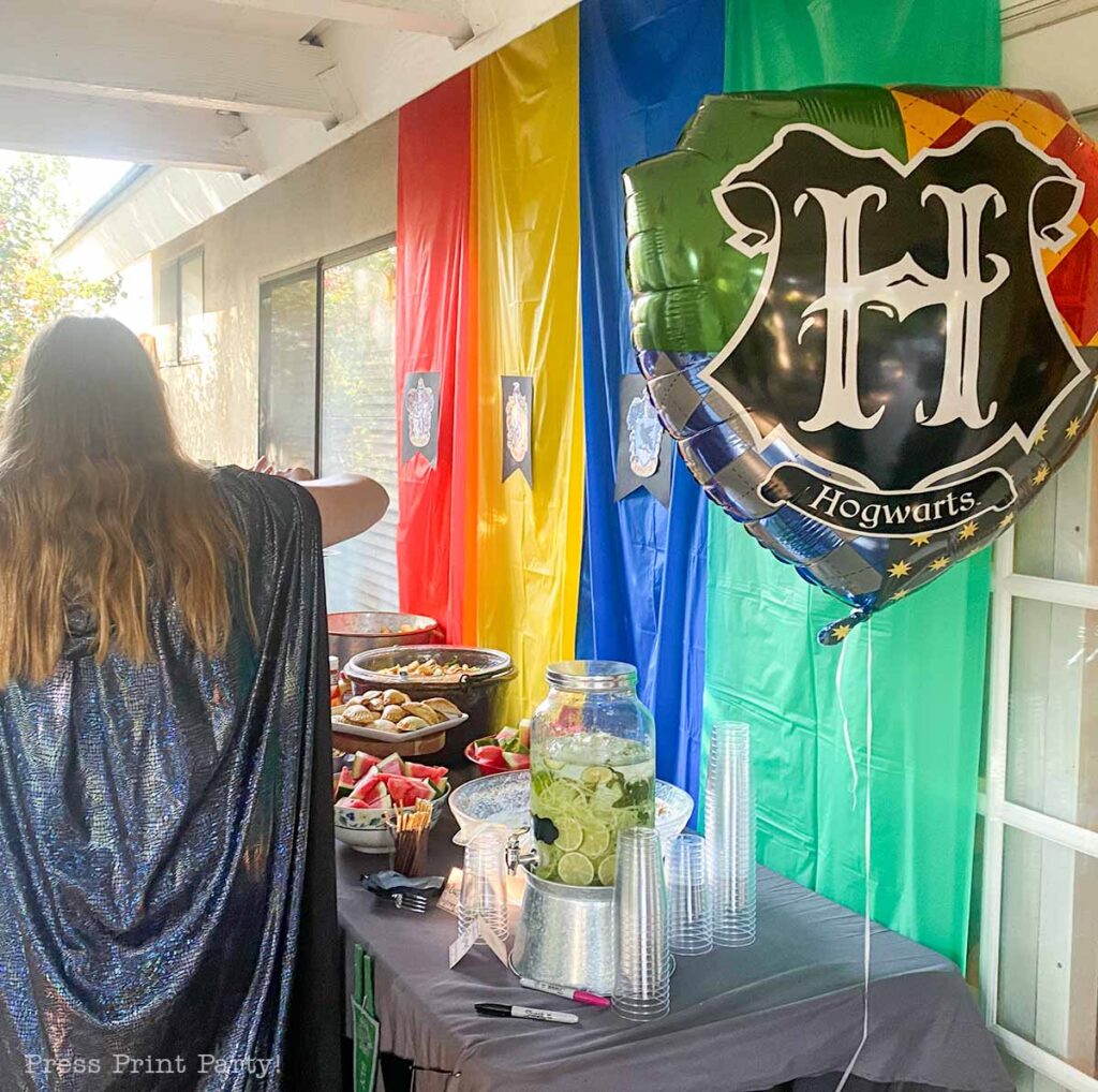 Harry Potter Food table with Hogwarts school colors backdrop