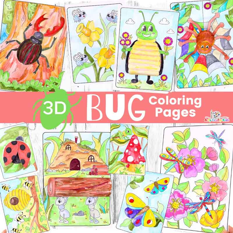 3D bug coloring