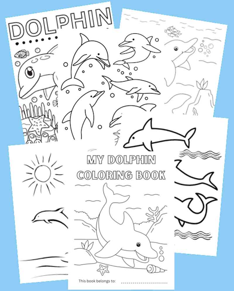 dolphin printable coloring book