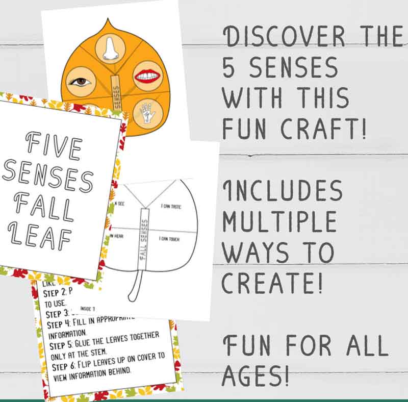 fall five sense craft activity pages with leaf