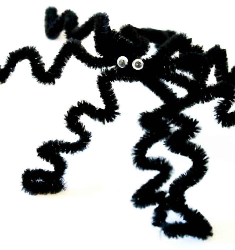 black pipe cleaner spider