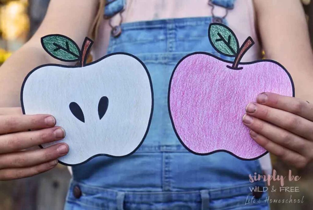 colored printable apple template