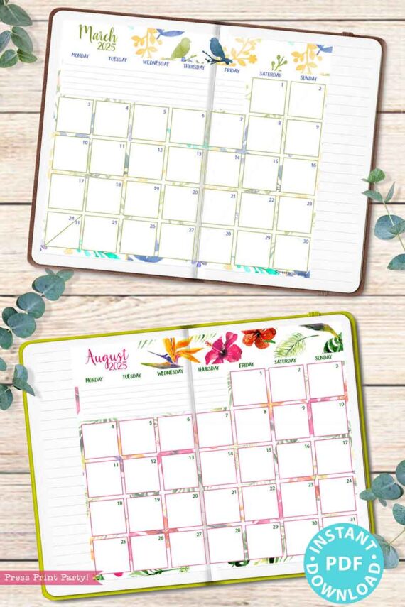 Two calendar pages for March and August, 2025 are artistically showcased in an outdoor setting. Sitting within a floral-themed planner and adorned with eucalyptus leaves, these pages evoke the sophistication of a watercolor-inspired 2025 Calendar Bundle for Bullet Journals or Binders. A "PDF Instant Download" badge elegantly appears in the corner.