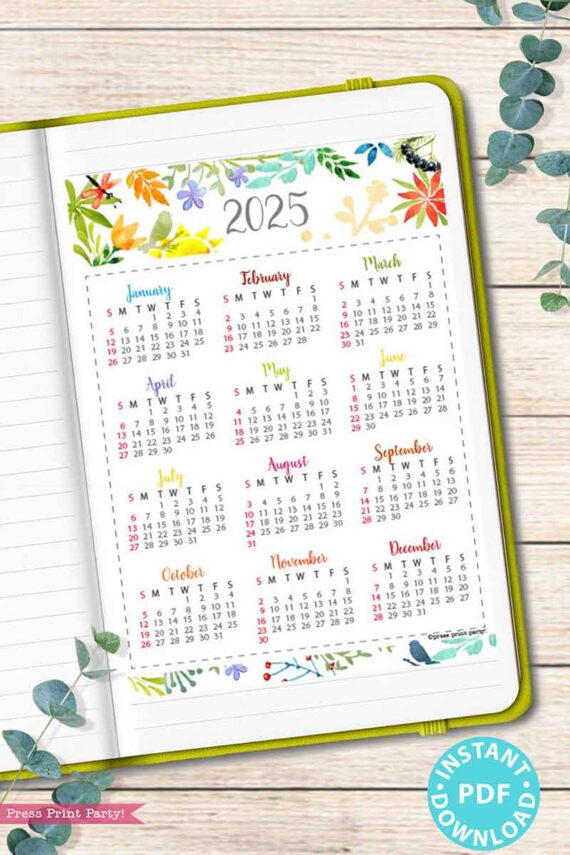 An open notebook showcases a vibrant page from the 2025 Calendar Bundle for Bullet Journals or Binders, Watercolor, featuring a colorful floral design. Alongside it, there's a lively 2025 calendar printable with months displayed alongside week numbers. The decorative elements include a green border and scattered eucalyptus leaves, complemented by a blue "Instant PDF Download" badge at the bottom.