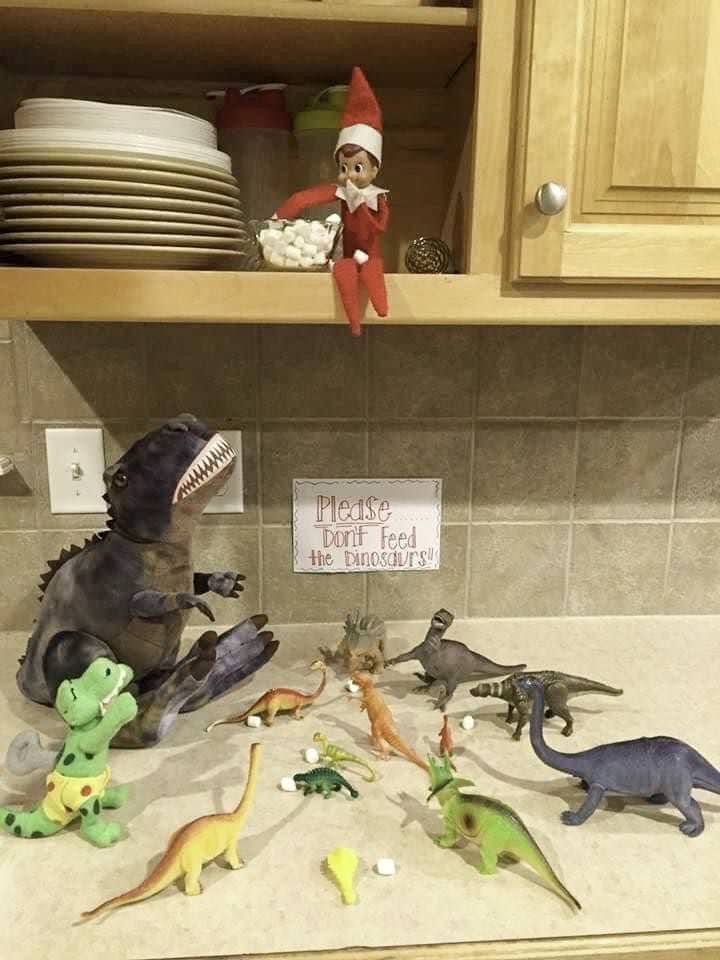 An elf toy sits on a kitchen shelf with a bag of marshmallows, overlooking toy dinosaurs on a counter. A sign nearby reads, "Please don't feed the dinosaurs!" Small marshmallows are scattered among the dinosaurs.