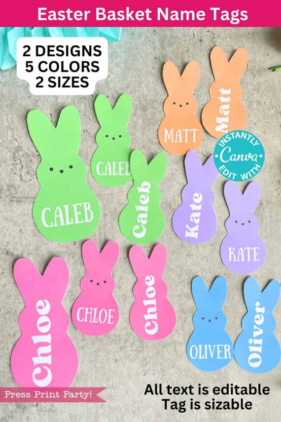 The Peeps Easter Gift Tags, featuring customizable names like Caleb, Matt, or Chloe, offer two unique designs in bunny shapes and a selection of five charming pastel colors. Available in two convenient sizes, these tags make Easter baskets special.