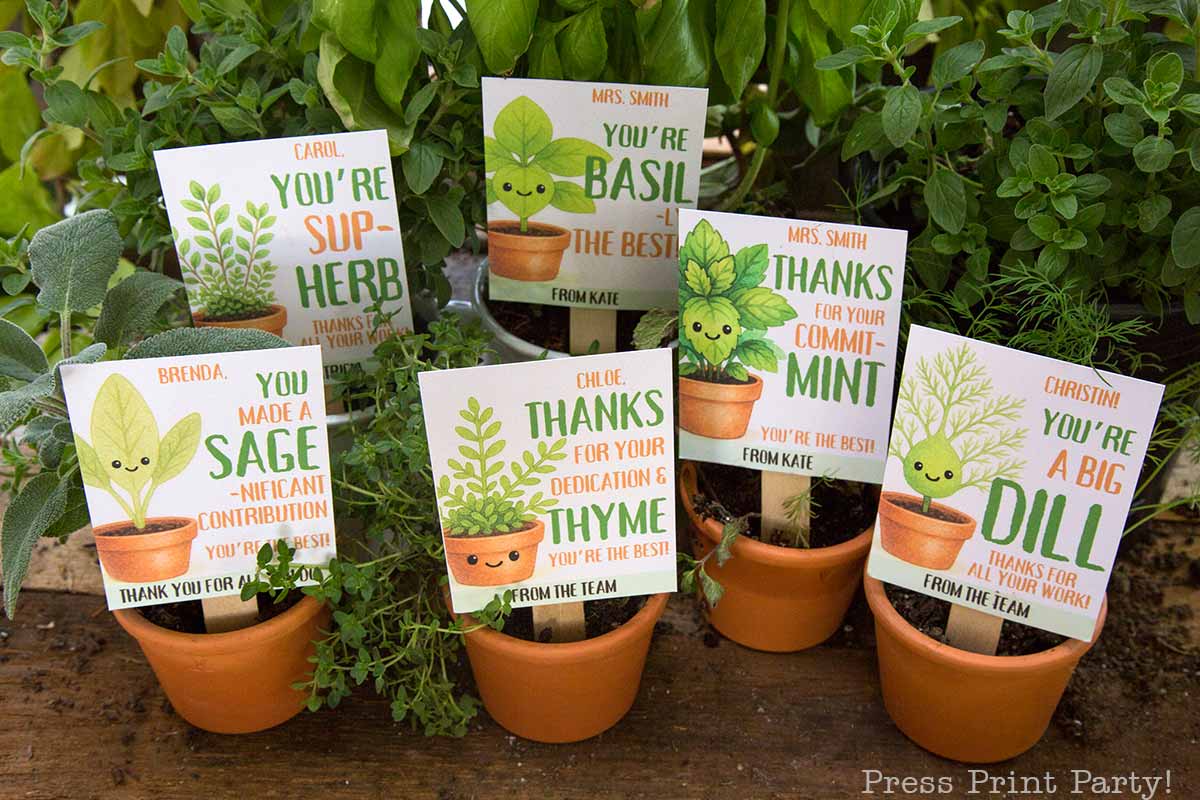 Potted herbs with labeled cards featuring plant puns: "You're Sup-Herb," "You're Basil the Best," "You Made a Sage-ntial Contribution," "Thanks for Your Thyme," "Thanks for Your Commit-mint," "You're a Big Dill.