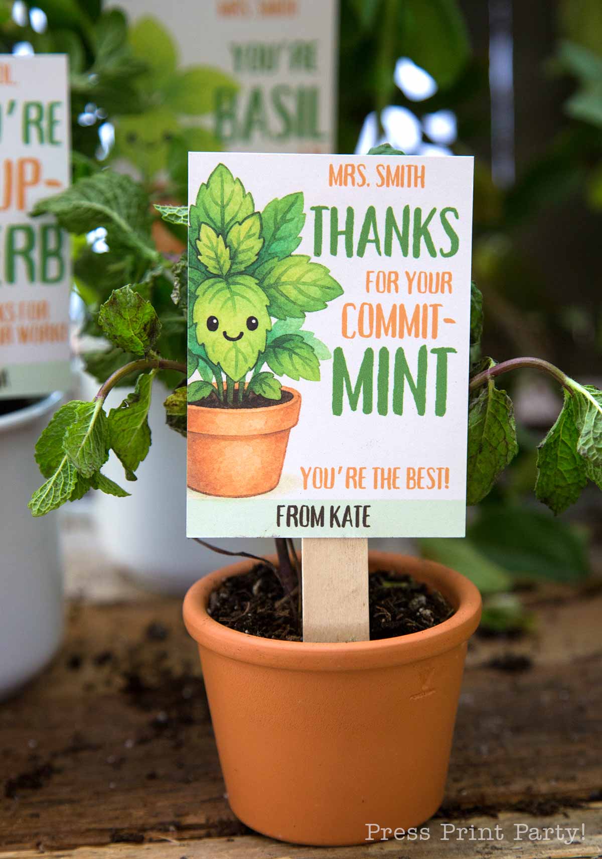 A small potted mint plant with a decorative sign that reads, "Mrs. Smith, thanks for your commit-mint. You’re the best! From Kate." The background features other plants with similar signs.