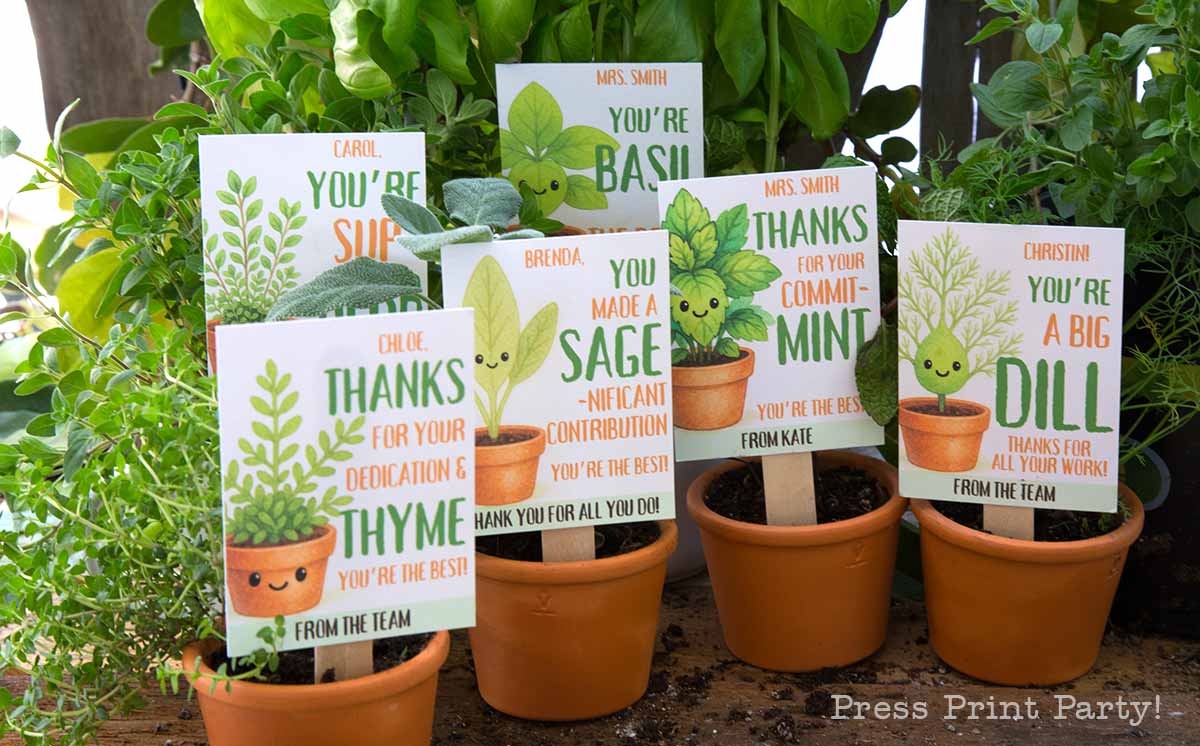 Thank you tags with herb-themed puns for different names are placed in small pots with plants. The tags say things like "You're Basil-ly the best!" and "You're a Big Dill!" Surrounded by various herbs in the background.