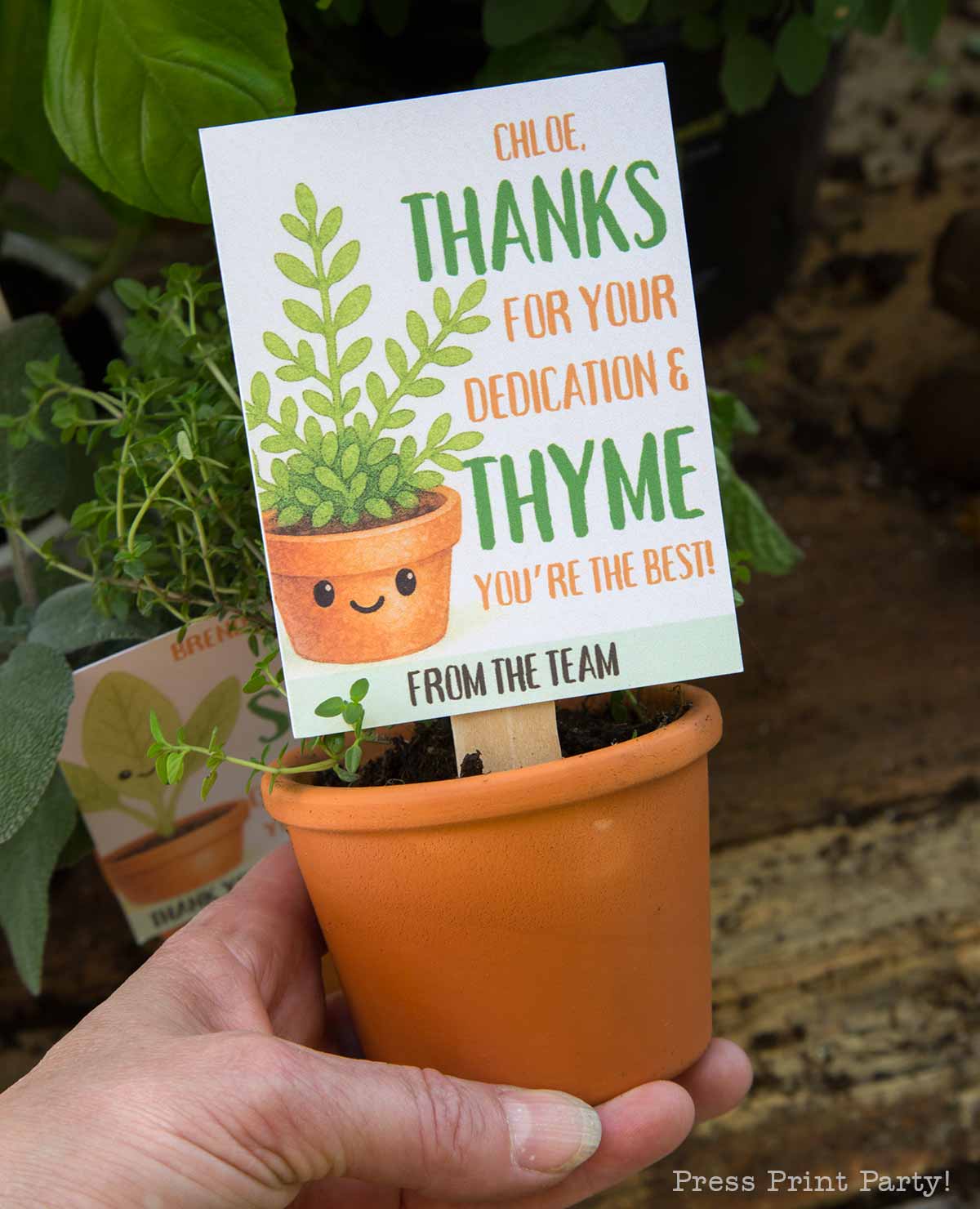 A hand holds a small terracotta pot with a leafy plant. A cute card with an illustration of a smiling potted plant reads: "Chloe, thanks for your dedication & thyme. You're the best! From the team.