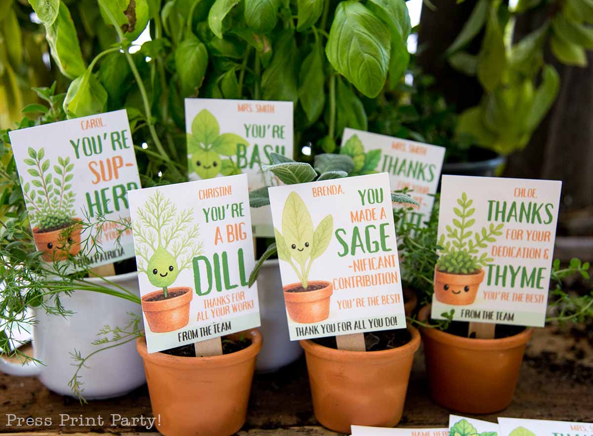 Potted herbs with cards saying "You're a big dill," "You made a sage-nificant contribution," "Thanks for your dedication & thyme," and more. Each card features a playful plant illustration and a pun in appreciation of team efforts.