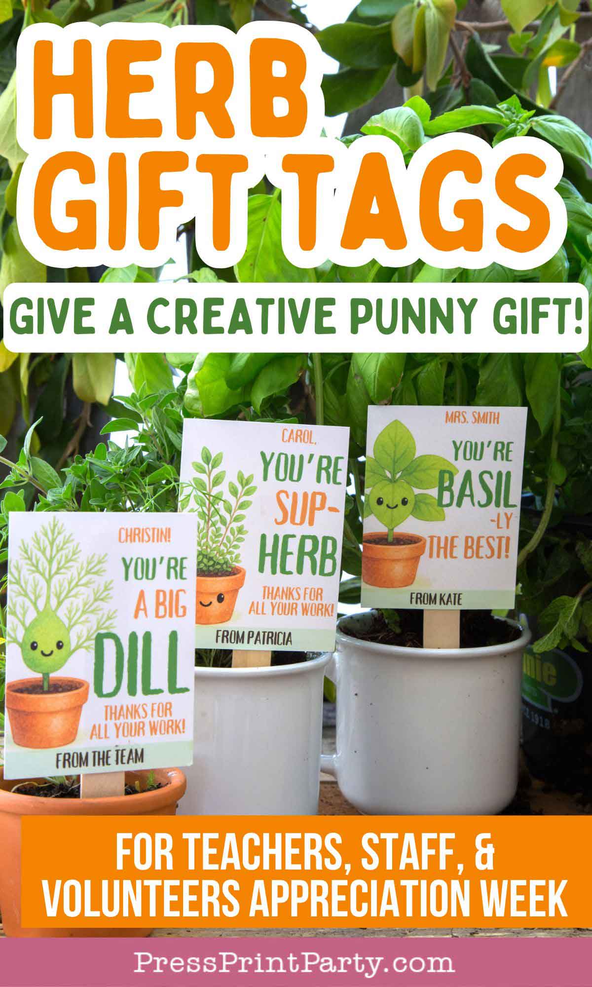 Potted plants with punny herb gift tags: "You're a big dill," "You're sup-herb," and "You're basil-y the best," for Teacher, Staff, & Volunteer Appreciation. Text overlay promotes creative gift ideas.