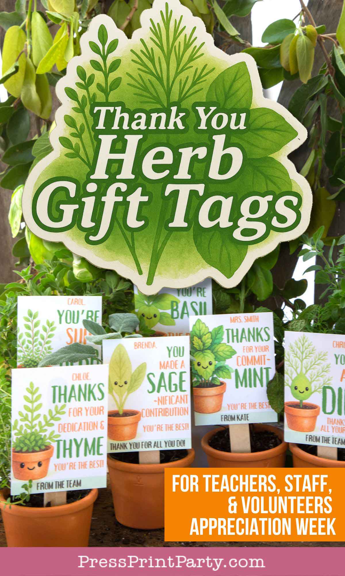 A display of plant pots with personalized gift tags featuring various herbs and appreciation messages for teachers, staff, and volunteers. A prominent sign reads "Thank You Herb Gift Tags.