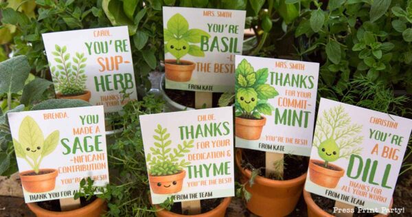 Potted plants with punny thank-you cards: "You're Sup-Herb," "You're Basil the Best," "Thanks for Your Commit-Mint," "You Made a Sage-nificant Contribution," "Thanks for Your Dedication & Thyme," "You're a Big Dill.