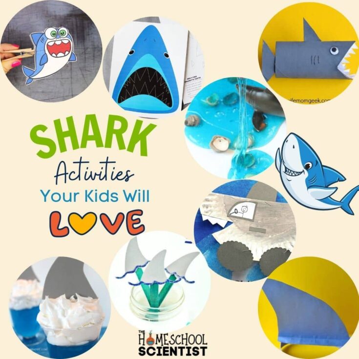 A collage of shark-themed crafts and activities for kids, including paper sharks, shark fin cupcakes, blue slime with toy sharks, and shark illustrations, with the text “Shark Activities Your Kids Will Love – Homeschool Scientist.”.