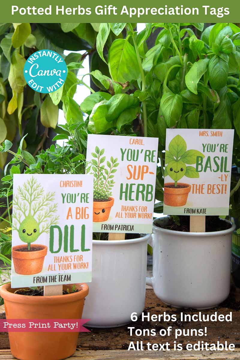 Three white herb pots feature printable appreciation tags with puns and plant illustrations: "You're a big dill," "You're sup-herb," and "You're basil-ly the best." The text above offers editable tags for the perfect Potted Herb Plant Gift.