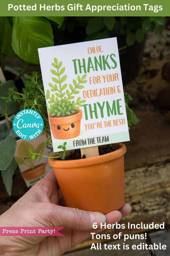 A hand holds a small potted herb plant with a gift tag illustrating a smiling plant, reading "Thanks for your dedication & thyme, you’re the best!" This image showcases the Potted Herb Plant Gift Tags Printable Appreciation.