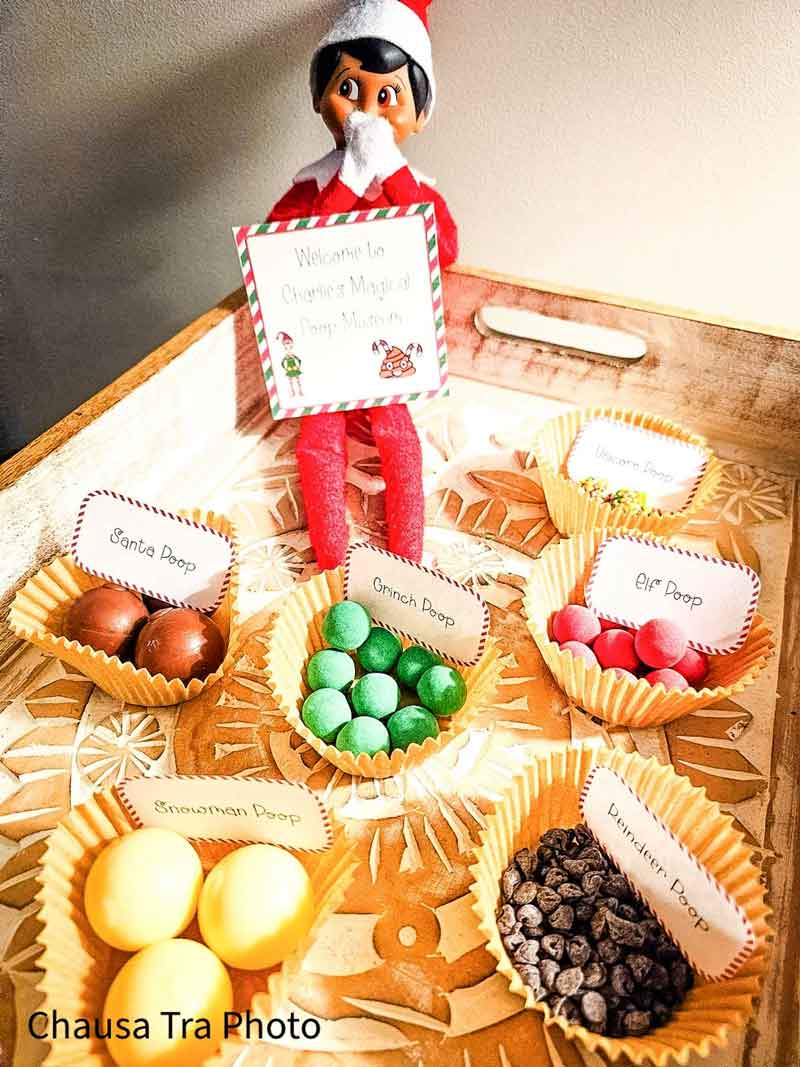 A festive tray features six labeled cupcake liners with colorful candies, perfect for elf on the shelf poop ideas: "Santa Poop," "Grinch Poop," "Elf Poop," "Snowman Poop," "Reindeer Poop," and "Bumblebee Poop." An Elf on the Shelf holds a welcome sign.