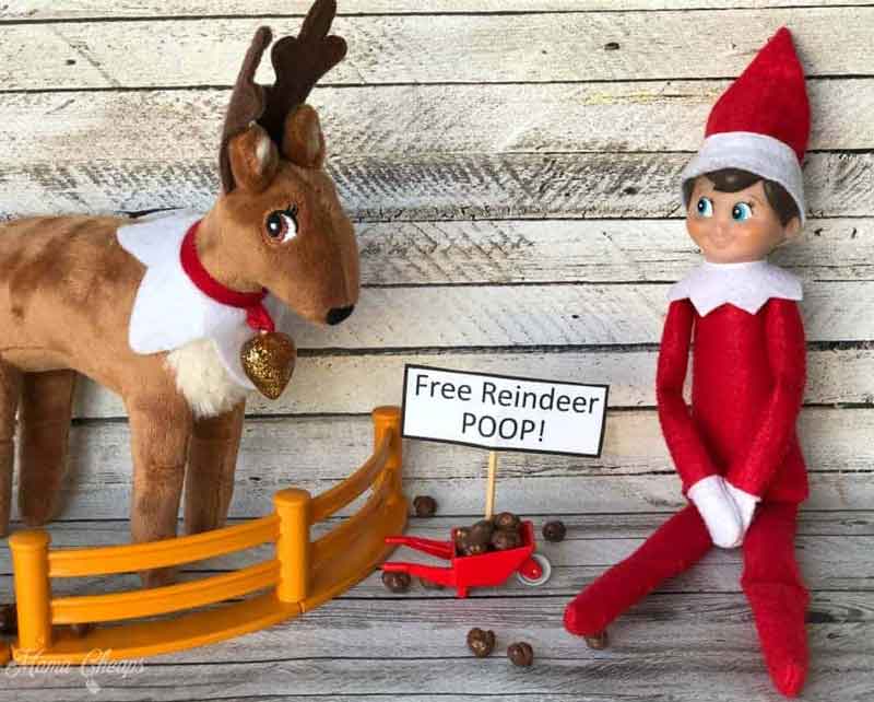 A plush reindeer and an Elf on the Shelf doll sit by a small orange fence. Chocolate candies, perfect for elf on the shelf poop ideas, are scattered near a tiny wheelbarrow holding a "Free Reindeer POOP!" sign.