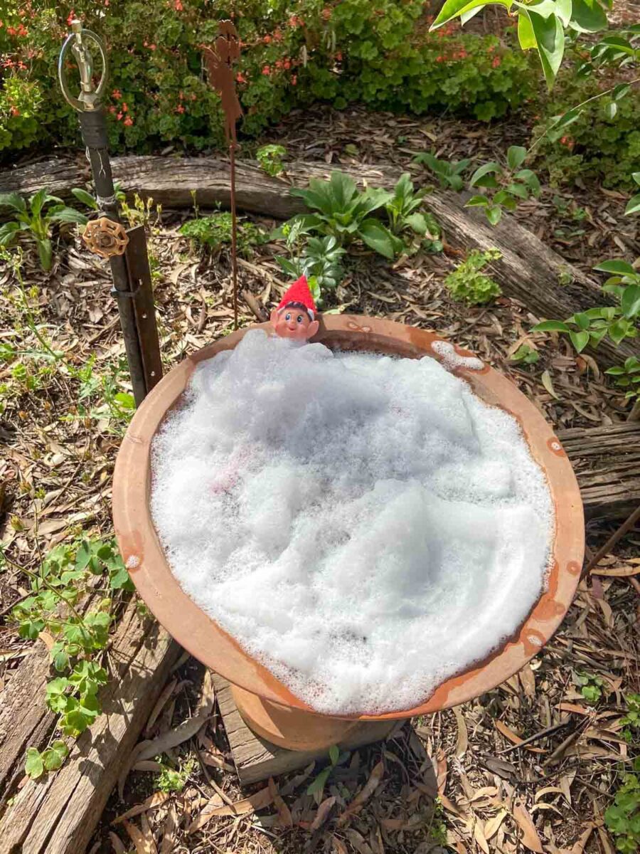A garden gnome with a red hat sits in a birdbath filled with white bubbles, surrounded by plants, mulch, and wooden logs in a sunny outdoor garden.