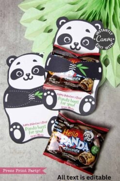 Panda Party Favors Treat Holder - Valentine & Party: Panda-shaped card with Hello Panda cookies and playful socks. Text: "Happy Valentine’s Day! Panda hugs for you! from Olivia." Presented with green tissue paper.