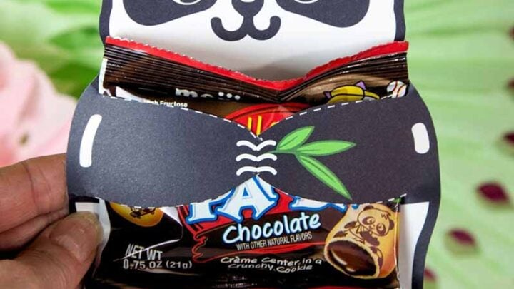 A hand holds a Panda Party Favors Treat Holder - Valentine & Party, containing chocolates and cute Valentine’s Day socks. The card says, “Happy Valentine’s Day! Panda hugs for you! From Olivia.” All text is editable in Canva.