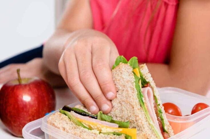 A person in a pink shirt holds a sandwich with lettuce, cheese, and ham from a plastic container. Nearby are an apple and grape tomatoes.
