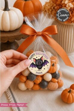 A hand holds a cellophane bag of orange, white, and brown candies tied with an orange ribbon and decorated with Pink Coquette Ghost Treat Bag Halloween Stickers. Mini pumpkins and gourds are in the background, adding to the playful, festive scene.