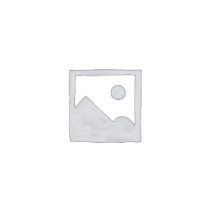 Boarding Pass Templates