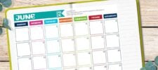 Open planner showing a blank weekly calendar for June 20–26, perfect for organizing your week. The days are outlined in different colors. A Bible verse from Proverbs 19:21 is printed at the top. Green leaves frame the corners. Free Printable 2025 Calendar available.